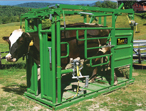 Hoof Trimming Chute from Real Tuff now