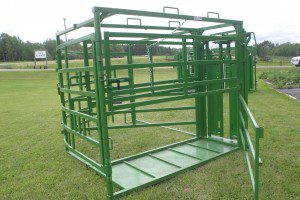 Cattle pen with canopy 10x15x10 cm