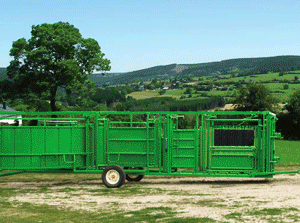 Portable System to Work Cattle; Real Tuff Cattle handing system, cattle handling system, portable cattle handling system
