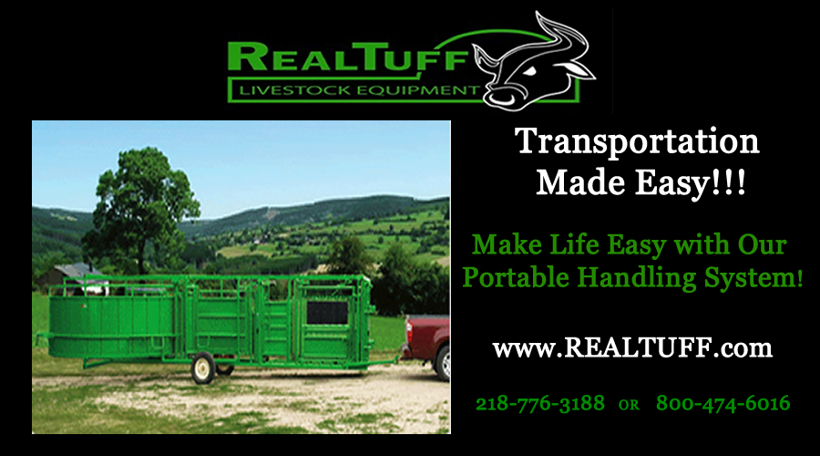 RealTuff Portable Handling System