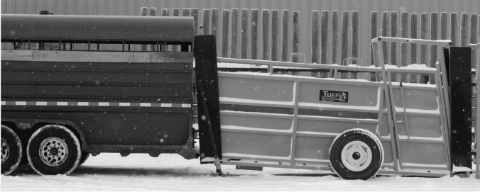 Livestock Equipment Loading Chutes