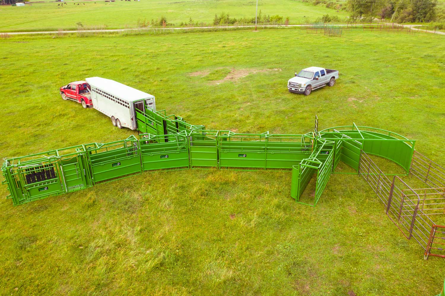 Portable System to Work Cattle; Real Tuff Cattle handing system, cattle handling system, Portable cattle handling, Calving handling systems,